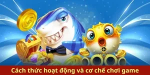 Bí Kíp Bắn Cá Royal Fishing Tại Nohu90 Ăn Tiền Triệu Mỗi Ngày 1 Bí Kíp Bắn Cá Royal Fishing Tại Nohu90 Ăn Tiền Triệu Mỗi Ngày