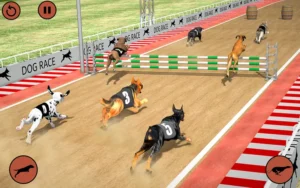 Cách Chơi Game Nhanh Đua Chó Nohu90 Luôn Thắng Từ Cao Thủ