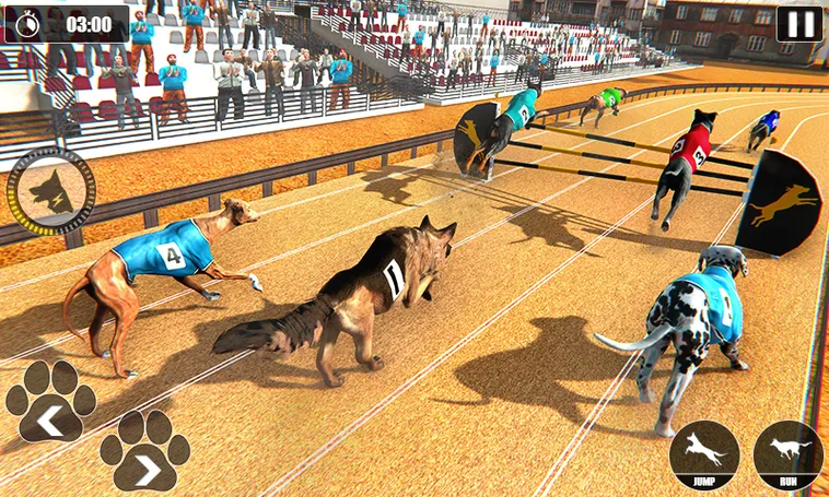Cách Chơi Game Nhanh Đua Chó Nohu90 Luôn Thắng Từ Cao Thủ 2 Cách Chơi Game Nhanh Đua Chó Nohu90 Luôn Thắng Từ Cao Thủ