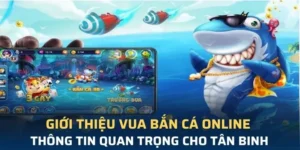 Hướng Dẫn Cách Chơi Vua Bắn Cá Tại Nohu90 Cho Người Mới